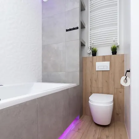 Movie Jacuzzi At The Main Station By Renters Apartment